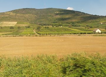 hungary/tokaj-wine-region/attraction/tokaj