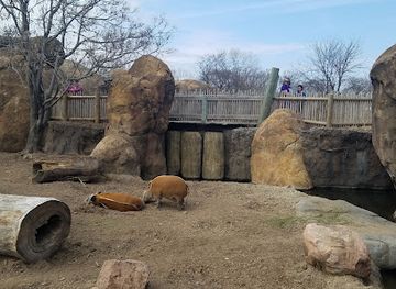 kansas/wichita/attraction/sedgwick-county-zoo