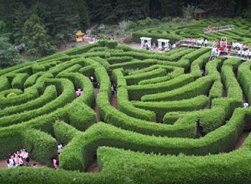 south-korea/jeju-city/attraction/gimnyeong-maze-park
