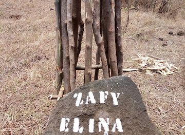 madagascar/antsiranana/attraction/baobab-zafy-elina-a-suarezensis
