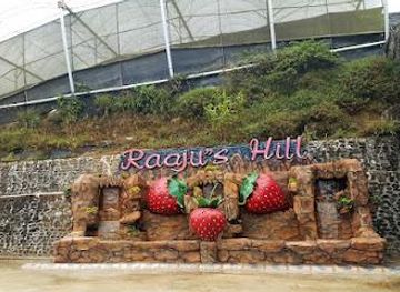 malaysia/cameron-highlands/attraction/raju-s-hill-strawberry-farm