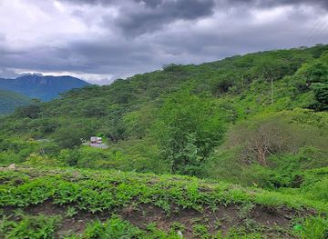 tanzania/ruaha-region/attraction/kitonga-mountain-forest-reserve