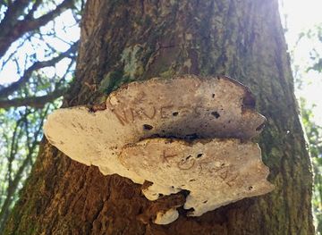 sri-lanka/horton-plains-national-park/attraction/gallways-land-camping-site