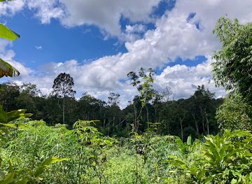 cambodia/mondulkiri/attraction/jahoo