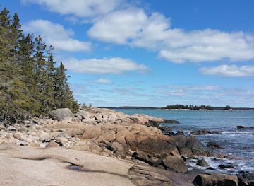 maine/downeast/attraction/great-wass-island-preserve