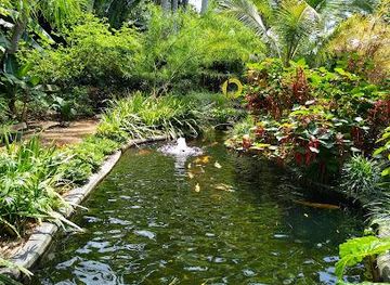 florida/tampa/attraction/sunken-gardens