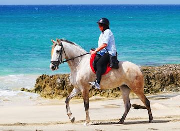 cabo-verde/santa-maria/attraction/santa-marilha-horse-excursions