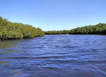 Playa El Mogote