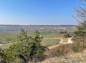 france/cote-des-blancs/attraction/belvedere-de-cramant