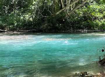 jamaica/port-maria/attraction/white-river-calypso-rafting-tubing