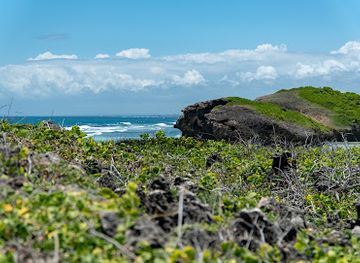 kenya/coastal-region/attraction/isola-dell-amore