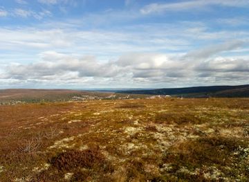 sweden/lindvallen/attraction/o-kalven