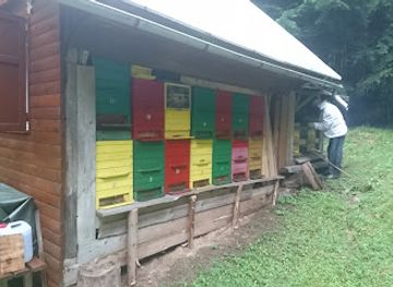 slovenia/triglav-national-park/attraction/franceljnov-jelotov-cebelnjak