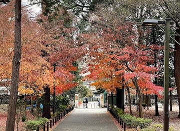 japan/musashi/attraction/rinshi-no-mori-park