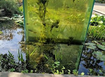 netherlands/haarlem/attraction/foundation-hortus-alkmaar