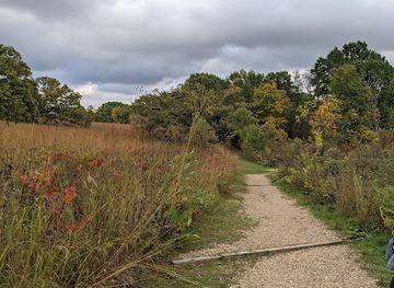 wisconsin/northern-highland/attraction/owen-conservation-park