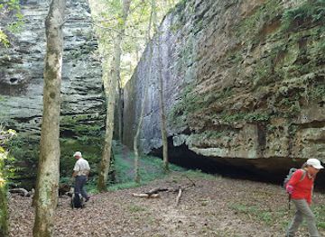 illinois/shawnee-hills/attraction/panther-den-wilderness