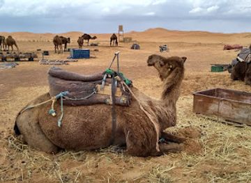 morocco/chaouia/attraction/amazigh-emotions-tours-sarl