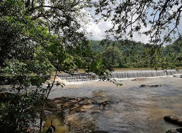 sri-lanka/pinnawala-elephant-orphanage/attraction/maha-oya-walk-way-and-bath-area