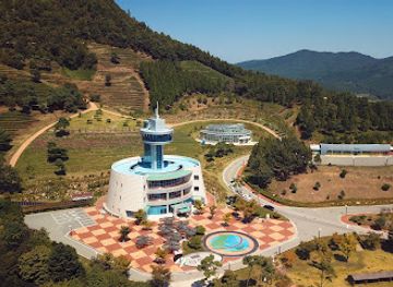 south-korea/south-jeolla-province/attraction/boseong-korean-tea-museum