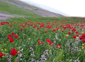tajikistan/shirkent-national-park/attraction/qizilsuv-daryosi