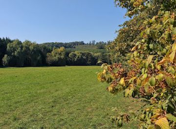 hungary/zalaegerszeg/attraction/aranyoslapi-forras
