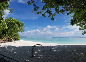 maldives/raa-atoll/attraction/mzg-tropical-village