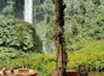 chile/pucon/attraction/salto-el-leon