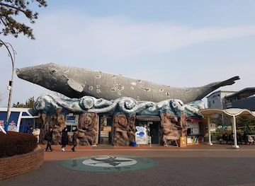 south-korea/gyeongju/attraction/jangsaengpo-whale-museum-ulsan