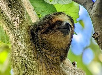 costa-rica/monteverde/attraction/bogarin-trail