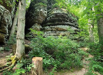 illinois/ferne-clyffe-state-park/attraction/trillium-trail