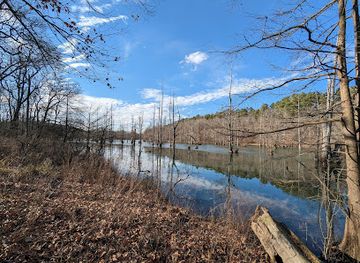 arkansas/pinnacle-mountain-state-park/attraction/william-kirsch-preserve-within-ranch-north-woods