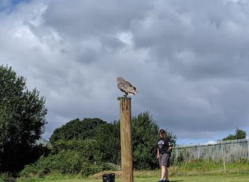 united-kingdom/somerset/attraction/north-somerset-bird-of-prey-centre