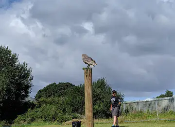 North Somerset Bird Of Prey Centre