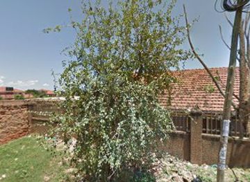 uganda/kampala/attraction/swift-camp