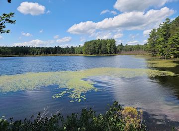 wisconsin/northwoods/attraction/north-lakeland-discovery-center