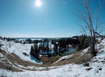 canada/northern-canada/attraction/spruce-woods-provincial-park