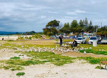 australia/mornington-peninsula/attraction/rye-pier