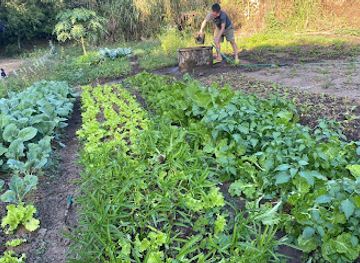 laos/sainyabuli-province/attraction/san-noy-sai-khun