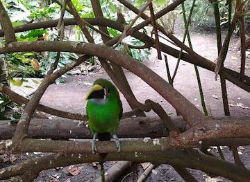 colombia/bogota/attraction/bioparque-la-reserva