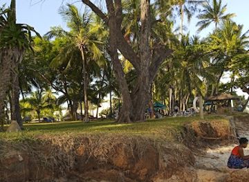 kenya/coastal-region/attraction/mombasa-marine-park-reserve