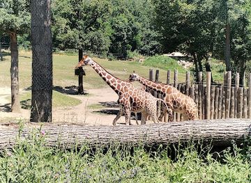 czechia/moravia/attraction/brno-zoo