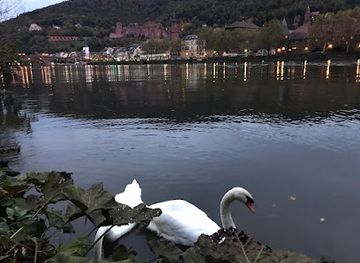 germany/heidelberg/attraction/panorama-view-to-altstadt-and-the-castle