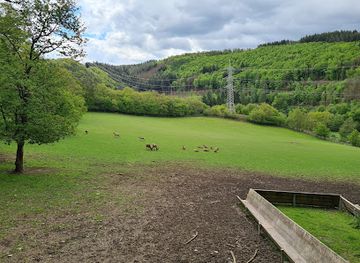germany/westerwald/attraction/wild-freizeitpark-westerwald