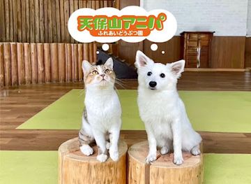 japan/kinki-kansai/attraction/tenpozan-anipa