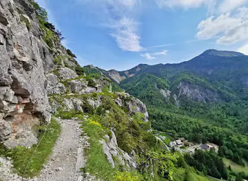Bornov tunel