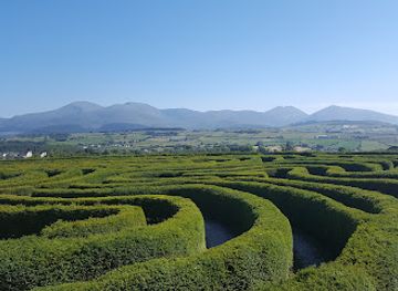 ireland/mourne-mountains/attraction/the-peace-maze
