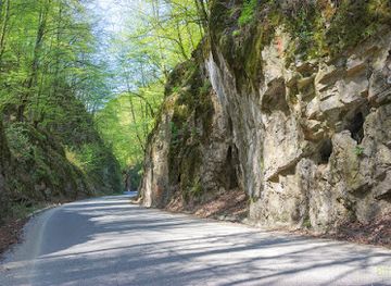 romania/bihor/attraction/cheile-albioarei