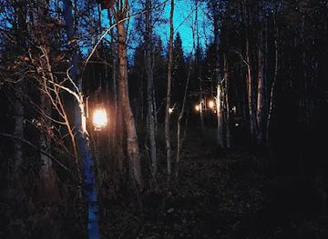 finland/rovaniemi/attraction/kauhun-galleria-hanna-pilve-art