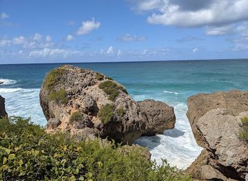 puerto-rico/west-region/attraction/survival-beach